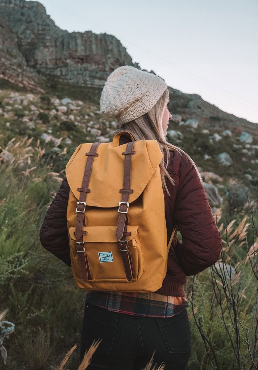 Traveller with a backpack beside a lake